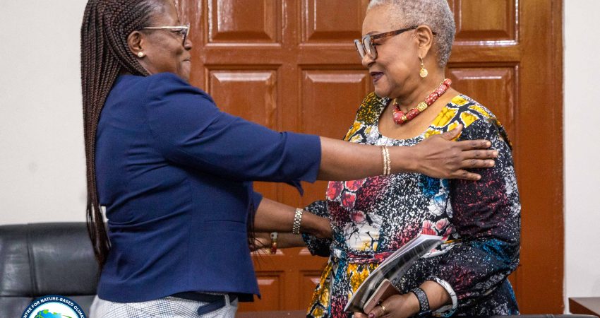 Africa Centre for Nature-Based Climate Action (AC4NCA)