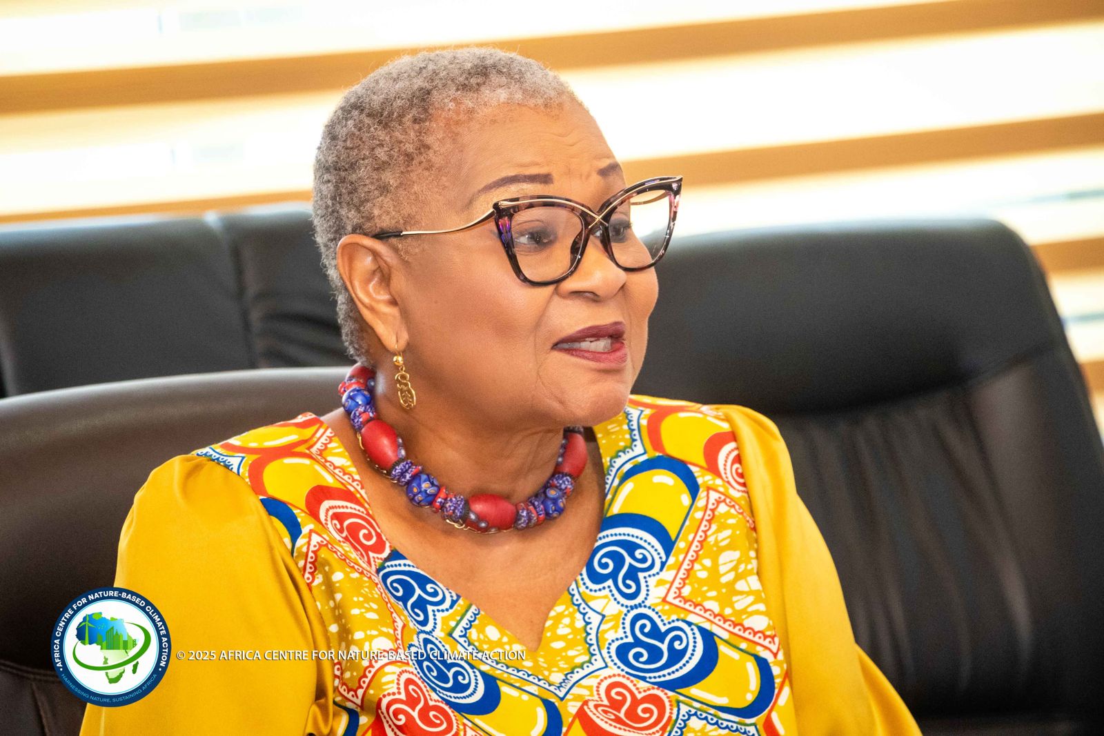 Africa Centre for Nature-Based Climate Action