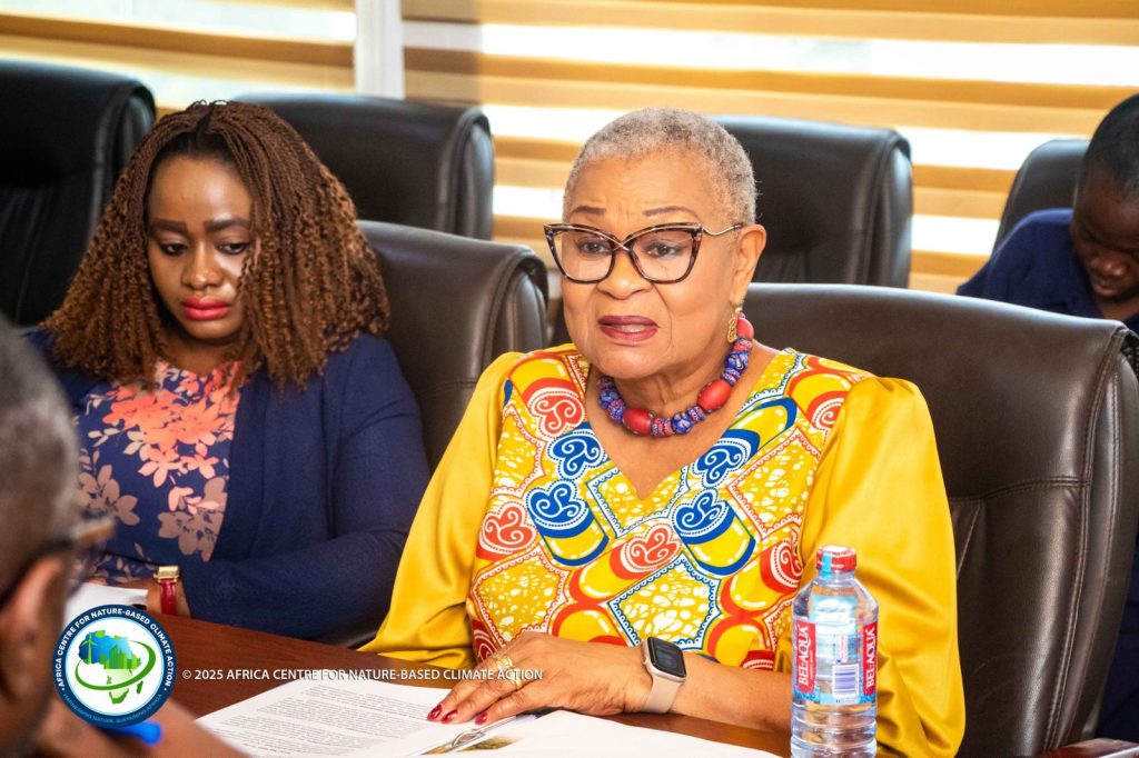 Africa Centre for Nature-Based Climate Action