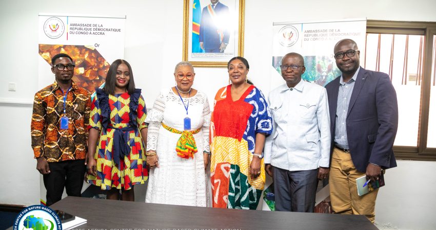 Africa Centre for Nature-Based Climate Action